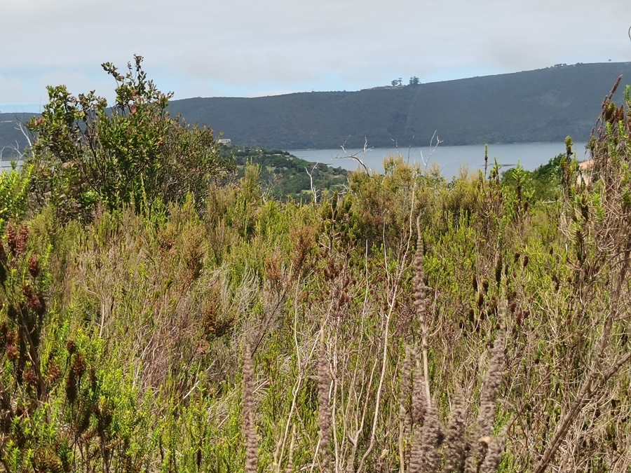 0 Bedroom Property for Sale in Eastford Downs Western Cape